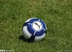 省体喜迎泉,城首家匹克,球主题公园,捕鱼达人官方在线网站,捕鱼达人3D官方正版,捕鱼达人在线试玩,捕鱼达人3网页版