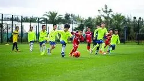 米兰体育携手瓦伦西亚，共筑合作新篇章